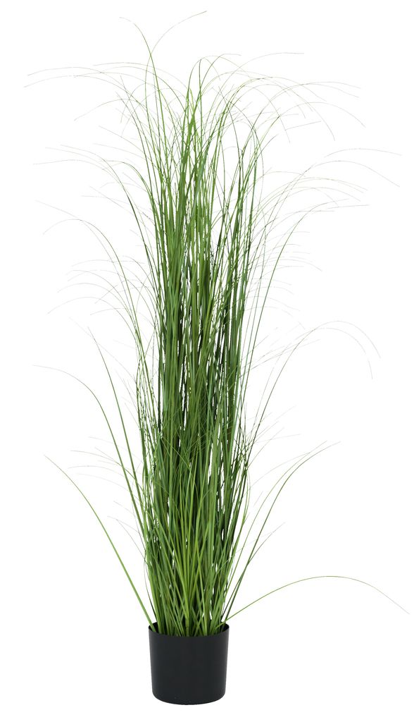 Artificial plant MARKUSFLUE H150cm grass JYSK