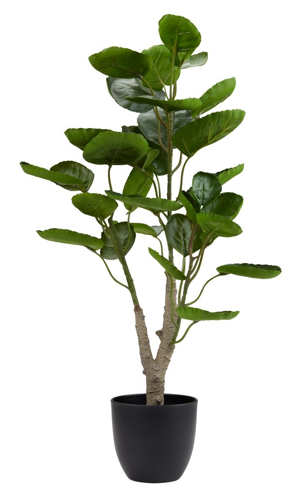 Artificial plant ARVID H70cm green JYSK
