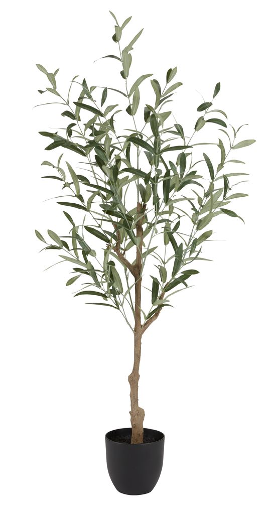 Plante artificielle HAVHEST H125cm olive | JYSK