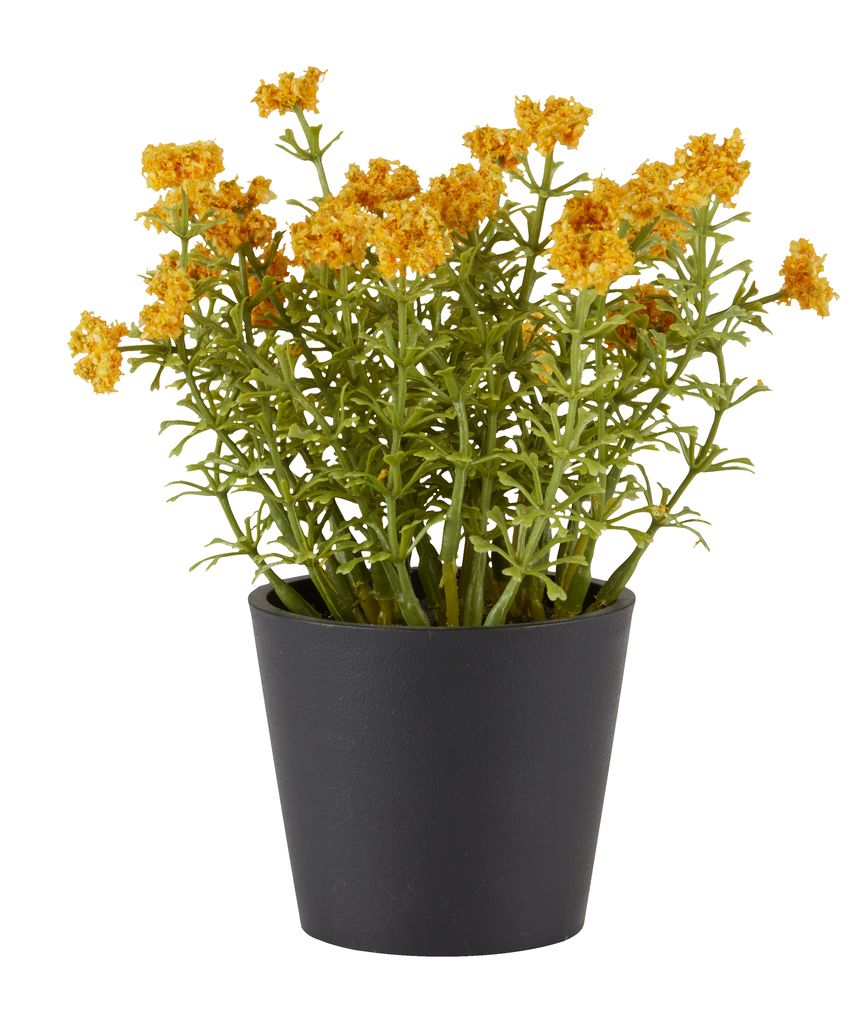 Artificial plant KALLE D13xH16cm yellow JYSK