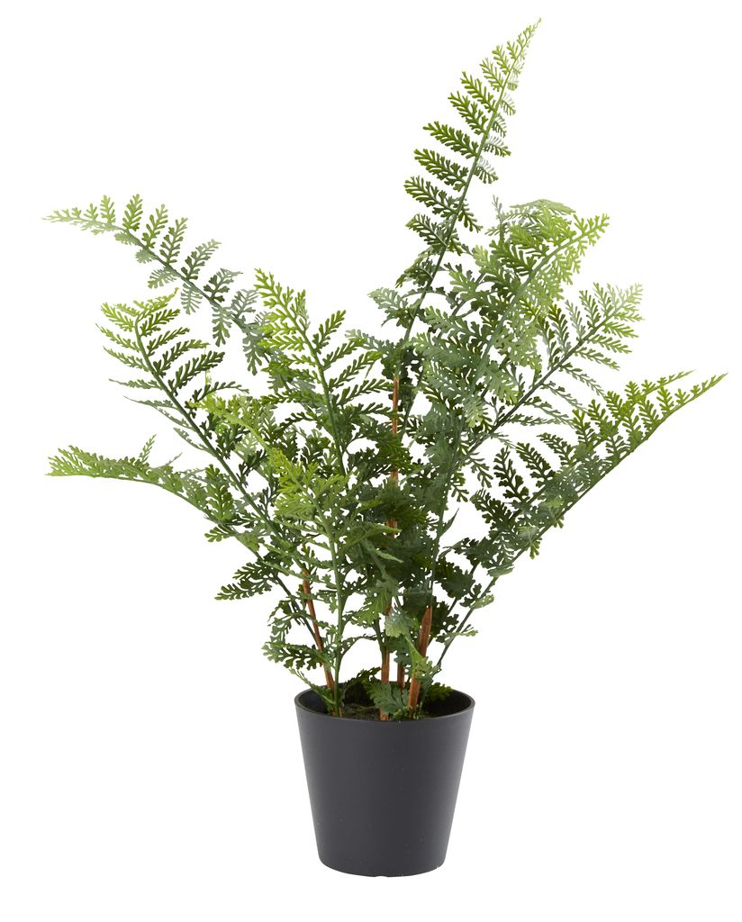 Artificial plant EILEV D40xH51cm green JYSK