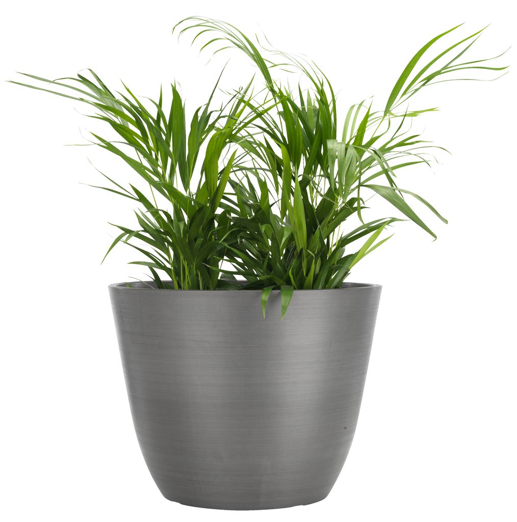 Grey flower pot