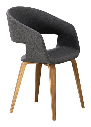 Esszimmerstuhl HOLSTEBRO anthrazit | JYSK