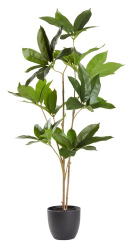 Kunstpflanze TRISTAN H90cm