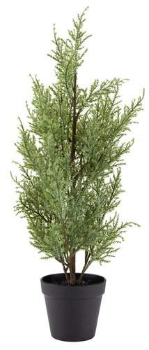 Juletræ GROSSULAR H60cm grøn