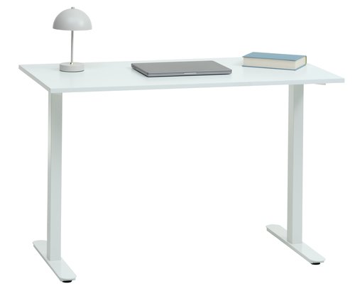 Desk STAUNING 60x120 white