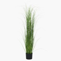 Kunstig plante MARKUSFLUE H150cm gress