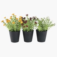 Planta artificial KALLE Ø13xA16cm sort.