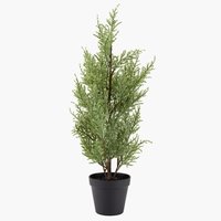 Weihnachtsbaum GROSSULAR H60cm grün