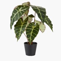 Kunstig plante MARIUS Ø38xH42cm