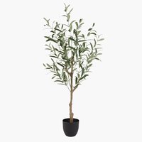 Kunstpflanze HAVHEST H125cm olivgrün