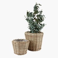 Planter basket RINGTROST D37/32 kubu natural 2pcs/set