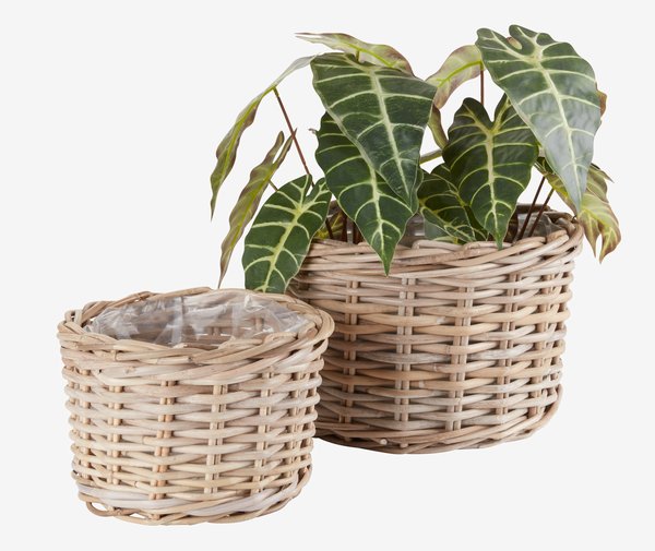 Planter basket SANSEBIE D35/27 kubu natural set of 2