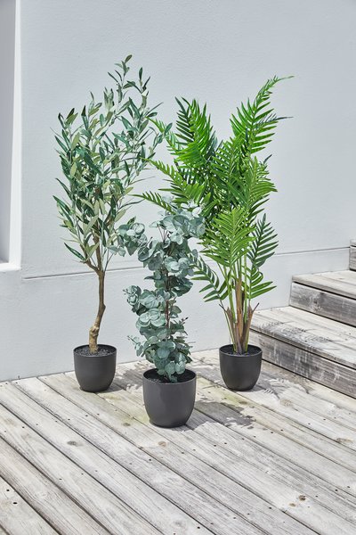 Artificial plant HAVHEST H125cm olive