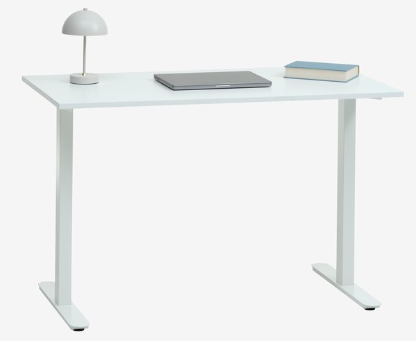 Desk STAUNING 60x120 white