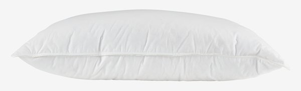 Oreiller duvet canard musqué 60x63/70 FD ANEMONE moyen