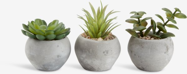 Artificial plant BROR D7xH9cm assorted