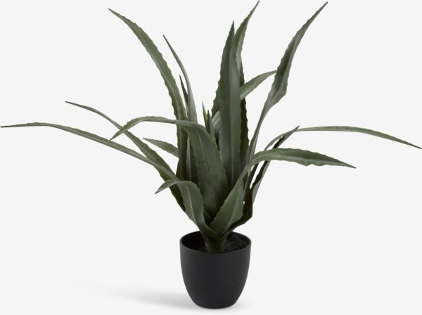 Umetna rastlina CELIUS V65 cm aloe vera