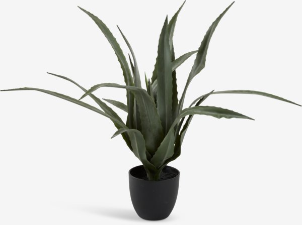 Artificial plant CELIUS H65cm aloe vera