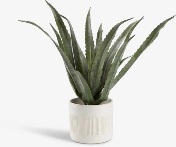 Artificial plant CELIUS H65cm aloe vera