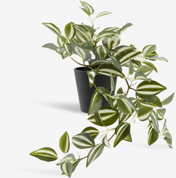 Τεχνητό φυτό ASGAR Υ24cm πράσινο