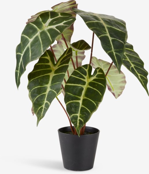 Plante artificielle MARIUS Ø38xH42cm