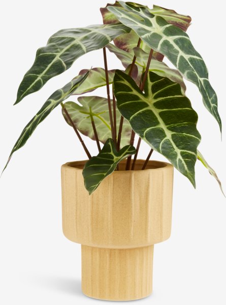 Kunstig plante MARIUS Ø38xH42cm