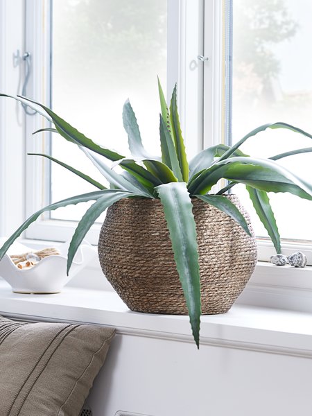 Artificial plant CELIUS H65cm aloe vera