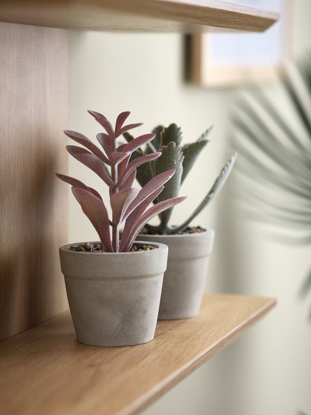 Artificial plant LOVE D7xH15 assorted
