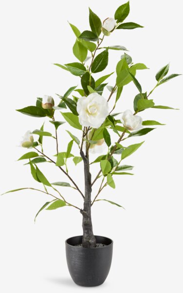 Kunstig plante SOLOPGANG H80 hvid rose