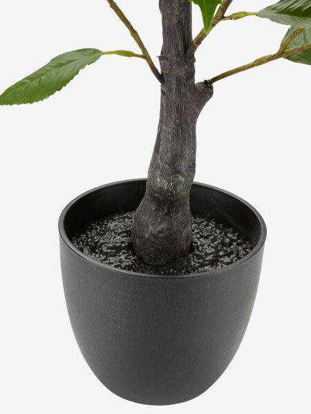 Kunstig plante SOLOPGANG H80 hvid rose