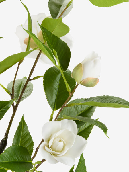 Kunstig plante SOLOPGANG H80 hvid rose