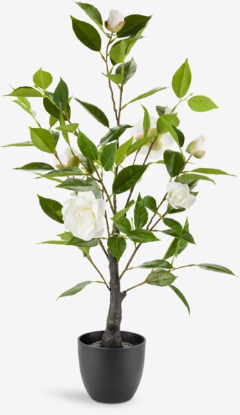 Kunstig plante SOLOPGANG H80 hvid rose