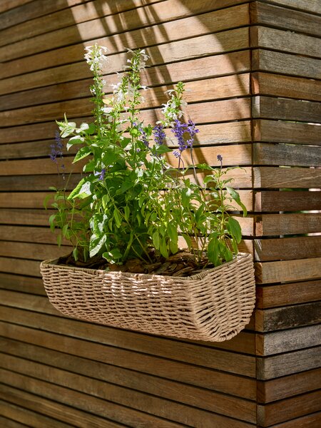 Altankasse KUBB B18xL50xH16 natur