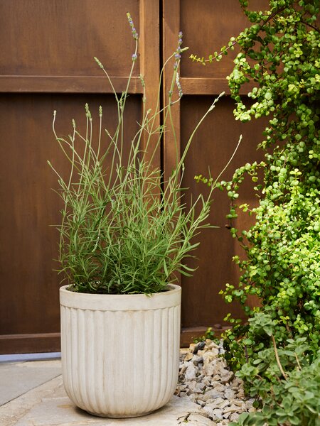 Саксия за градина BRILLEAND Ø29xВ29 натурал