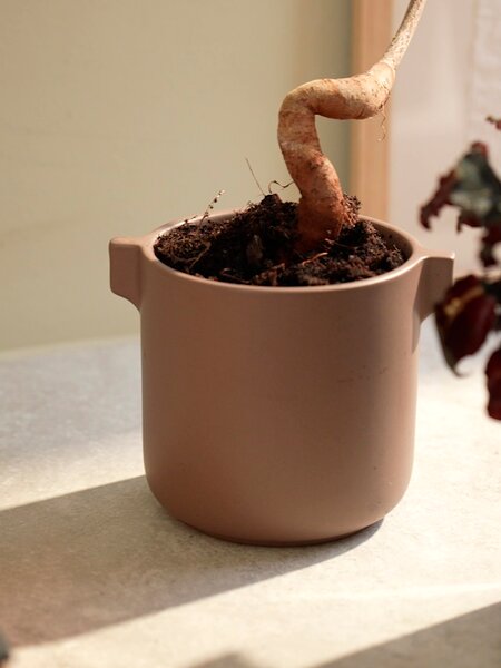 Maceta ROBIN Ø12xA11cm uva empolvado