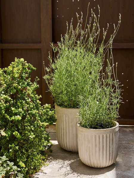 Саксия за градина BRILLEAND Ø29xВ29 натурал