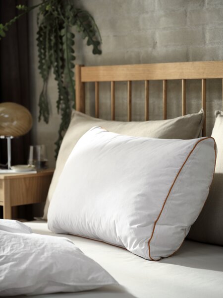 Oreiller en duvet d'oie 50x70 KRONBORG HATTEN