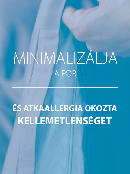 Poliészter párna 50x70 Fossflakes ROYAL NORDIC