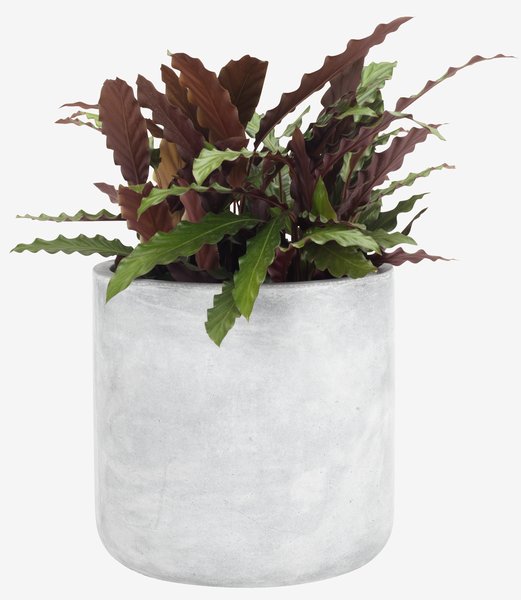 Havekrukke FLUGA Ø33xH32 grå