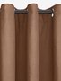 Colore: Marrone chiaro