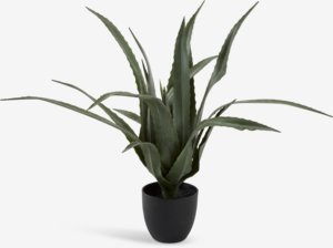 Roślina sztuczna CELIUS W65cm aloes